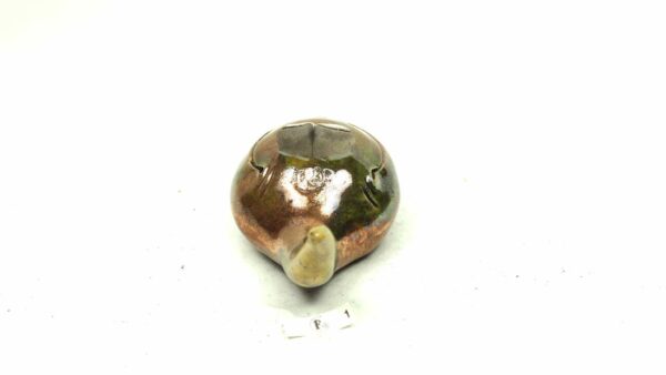 Bevorfrosch 1 – Bild 2
