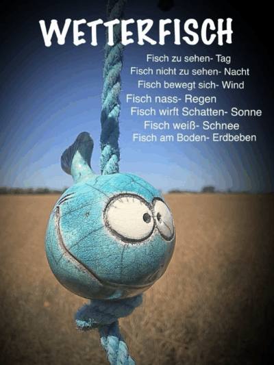 Wetterfisch 22