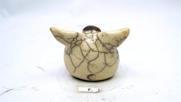 Boddenkatt 2 – Bild 4
