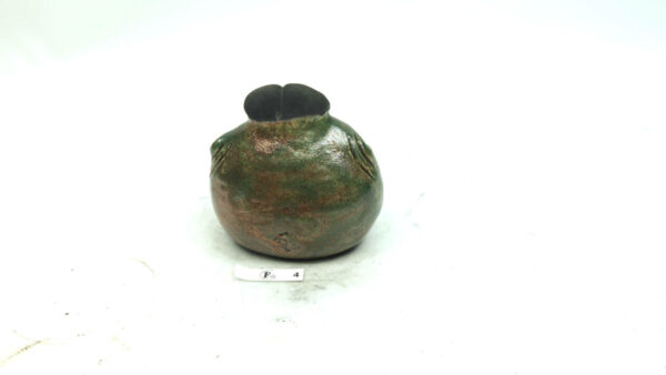 Boddenpogg 4 – Bild 4