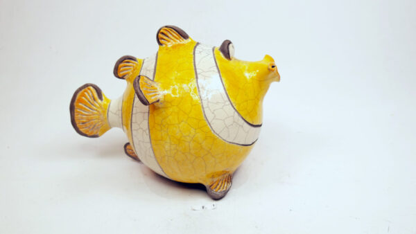 Clown-Fisk 1 – Bild 6