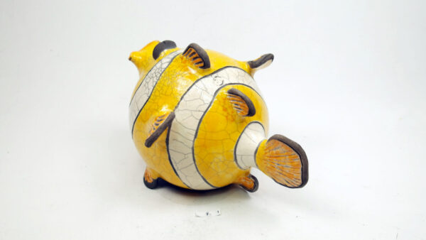 Clown-Fisk 1 – Bild 5