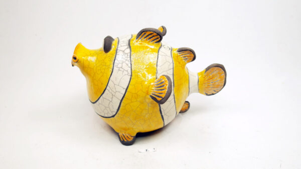 Clown-Fisk 1 – Bild 4