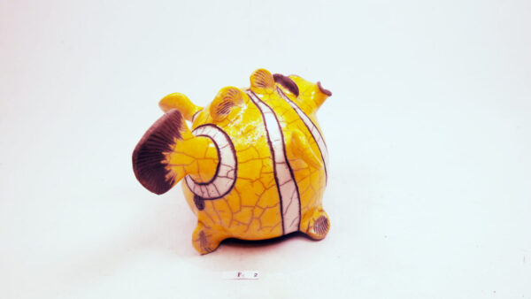 Clown-Fisk 2 – Bild 6