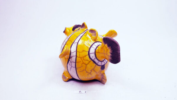 Clown-Fisk 2 – Bild 5