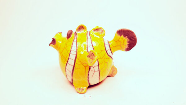 Clown-Fisk 2 – Bild 4