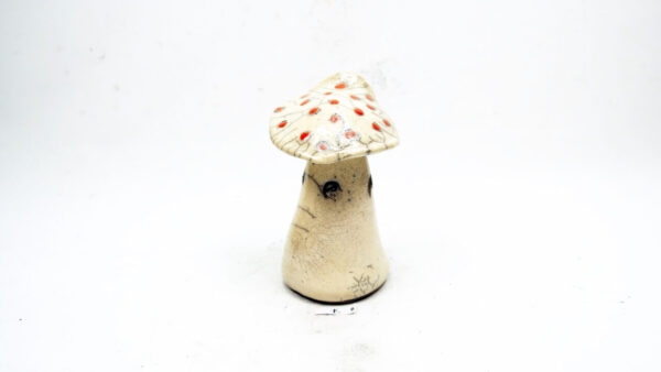 Falscher Fliegenpilz – Bild 4