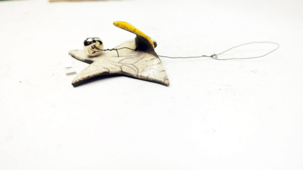 Flatterstern 2 – Bild 2