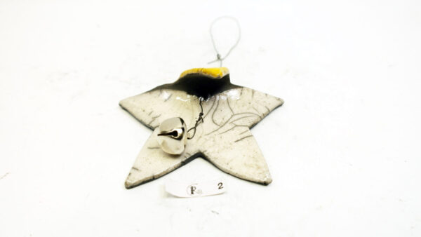 Flatterstern 2 – Bild 3