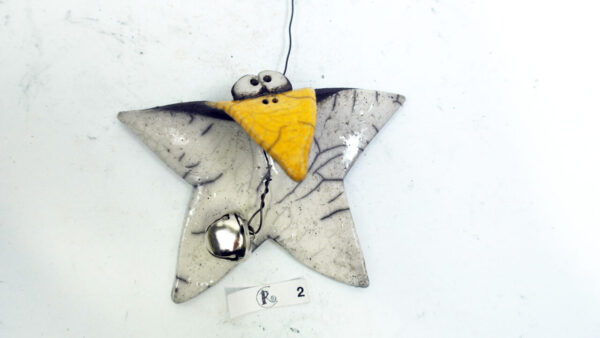 Flatterstern 2 – Bild 4
