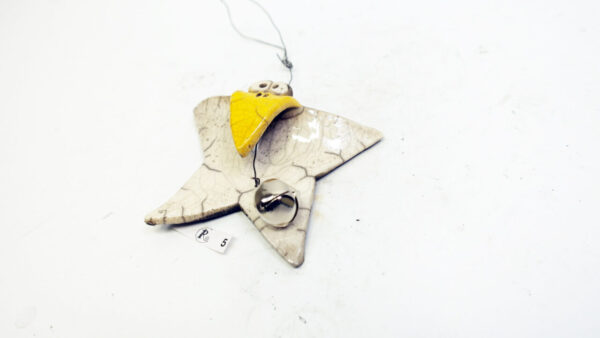Flatterstern 5 – Bild 3