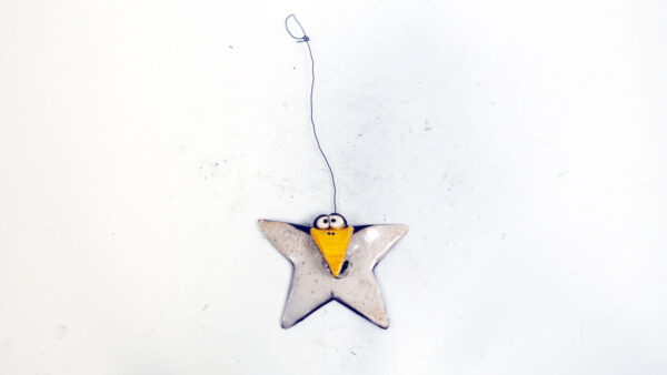 Flatterstern 5 – Bild 2
