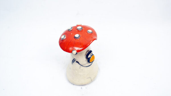 Fliegenpilz 1 – Bild 6
