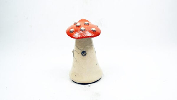 Fliegenpilz 1 – Bild 4