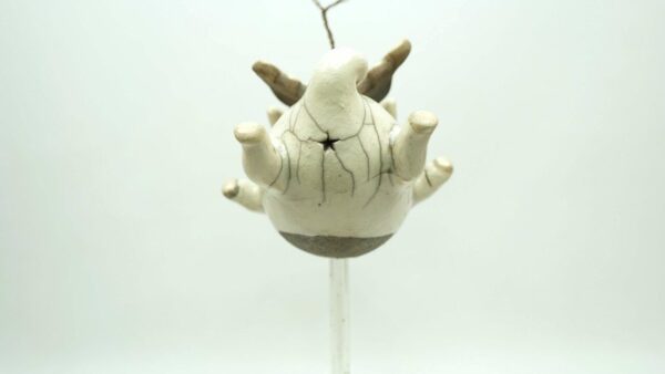 fliegendes Schwein – Bild 5