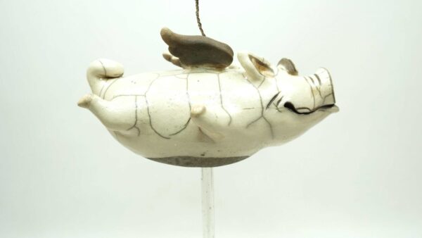 fliegendes Schwein – Bild 4