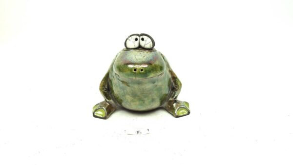 Frosch 1 – Bild 3
