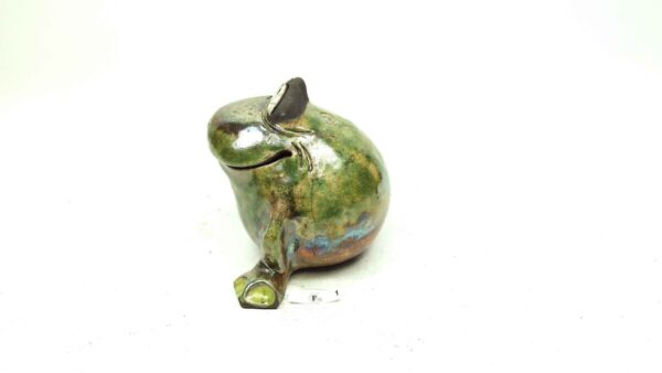 Frosch 1 – Bild 4