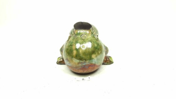Frosch 1 – Bild 5