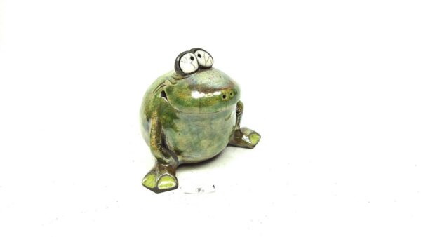Frosch 1 – Bild 2
