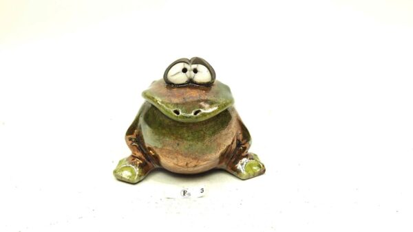 Frosch 3