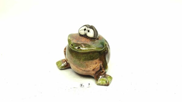 Frosch 3 – Bild 2