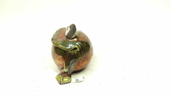 Frosch 3 – Bild 5