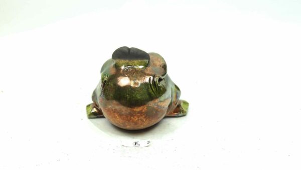 Frosch 3 – Bild 4