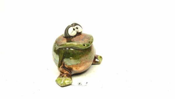 Frosch 3 – Bild 3