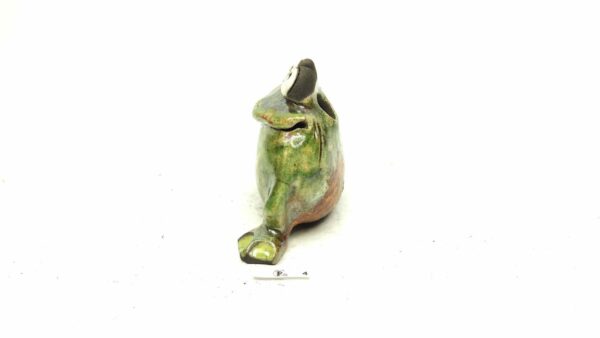 Frosch 4 – Bild 4