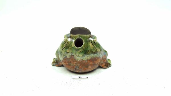 Frosch 4 – Bild 3