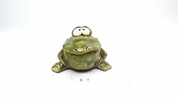 Frosch 5