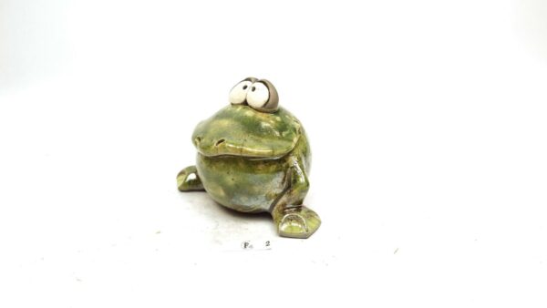 Frosch 5 – Bild 2