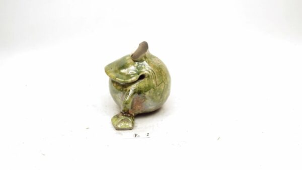 Frosch 5 – Bild 5