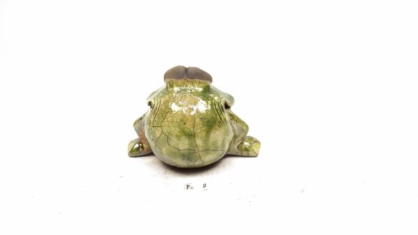 Frosch 5 – Bild 4