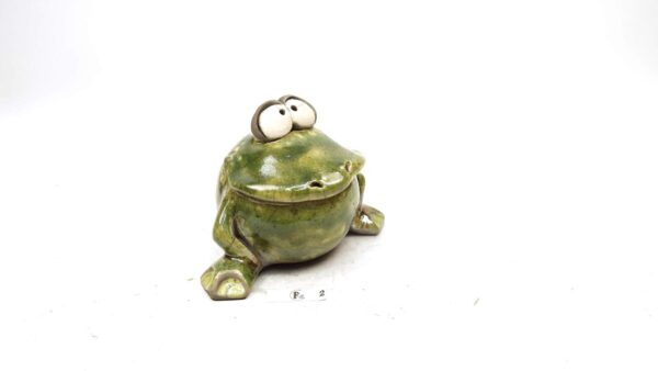 Frosch 5 – Bild 3