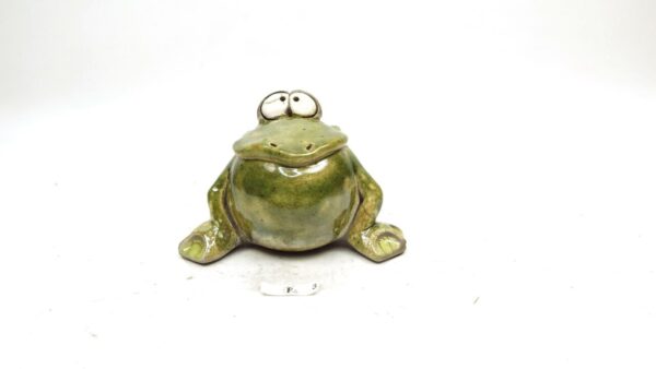 Frosch 6