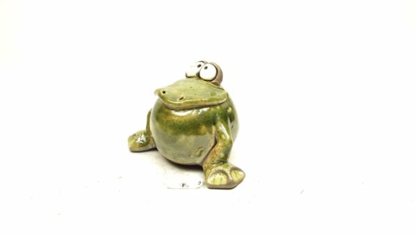 Frosch 6 – Bild 2