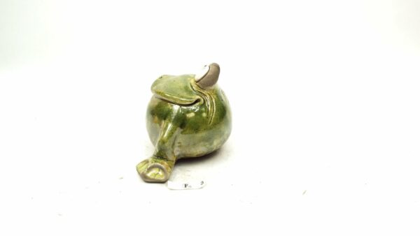 Frosch 6 – Bild 5