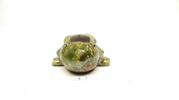 Frosch 6 – Bild 4
