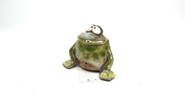 Frosch 7 – Bild 2