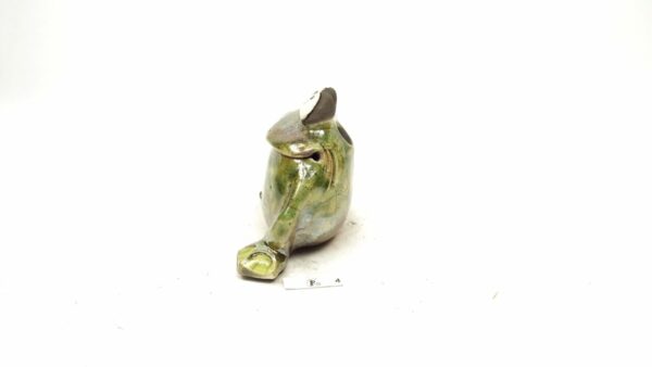 Frosch 7 – Bild 5