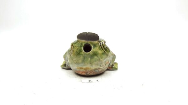 Frosch 7 – Bild 4