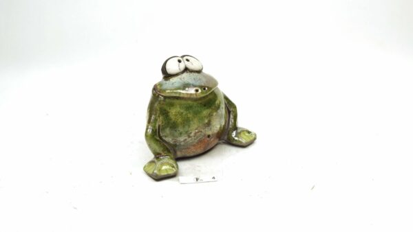 Frosch 7 – Bild 3