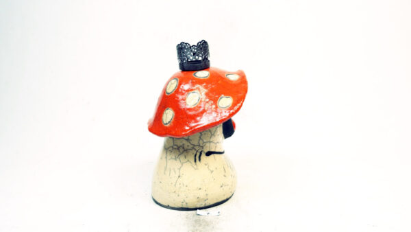 Kaiser-Pilz – Bild 5