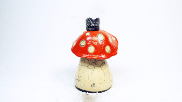 Kaiser-Pilz – Bild 4