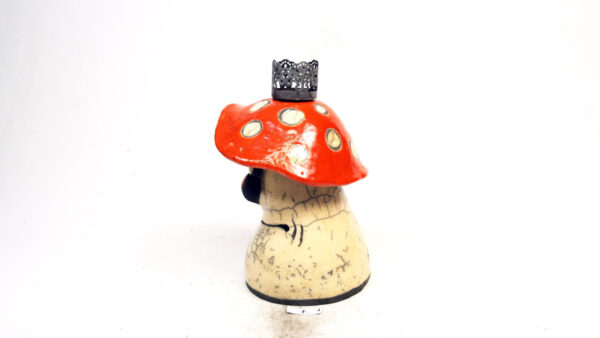 Kaiser-Pilz – Bild 3