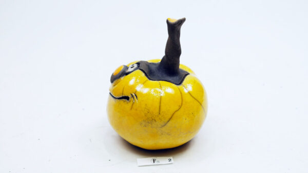 Kürbis 2 – Bild 3