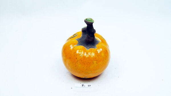 Kürbis 37 – Bild 3