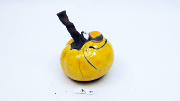 Kürbis 41 – Bild 4